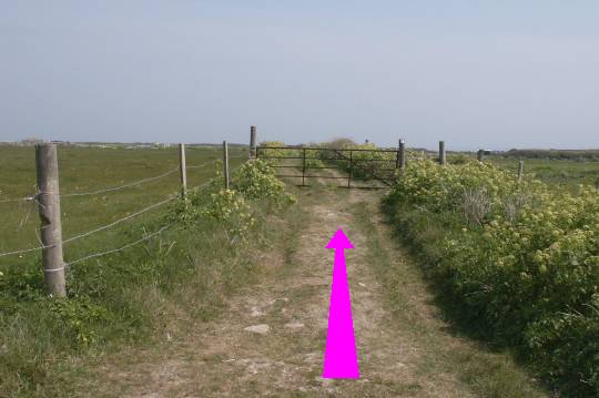Walking direction photo: 7 for walk The 3 Lighthouses, Portland Bill, Dorset, Jurassic Coast.