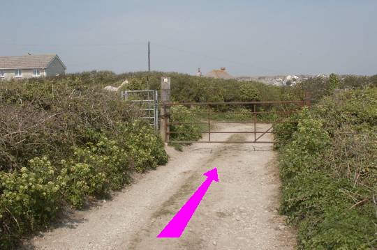Walking direction photo: 9 for walk The 3 Lighthouses, Portland Bill, Dorset, Jurassic Coast.