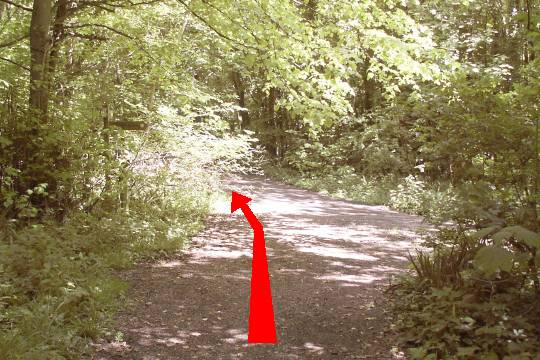 Walking direction photo: 19 for walk Osmington Mills, Ringstead, Dorset, Jurassic Coast.