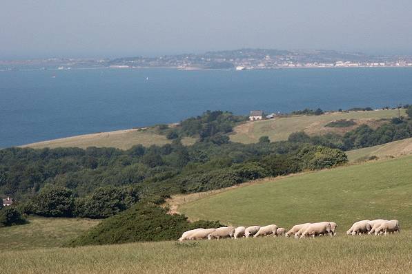 Picture, Photo, View of Ringstead, Dorset