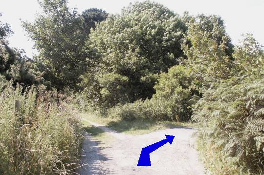 Walk direction photograph: 14 for walk Burning Cliff, Ringstead, Dorset, South West England.