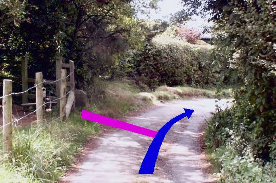 Walk direction photograph: 16 for walk Burning Cliff, Ringstead, Dorset, South West England.