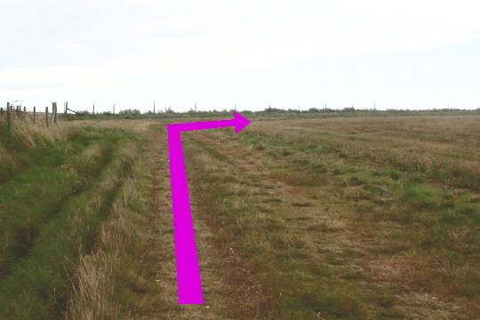 Walking direction photo: 3 for walk White Nothe, Ringstead, Dorset, Jurassic Coast.