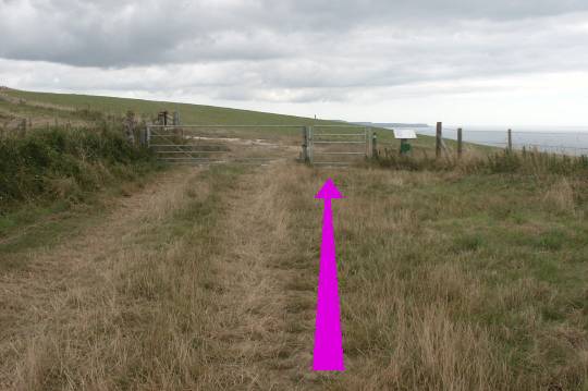 Walk direction photograph: 6 for walk White Nothe, Ringstead, Dorset, South West England.