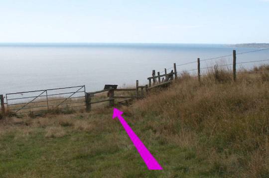 Walk direction photograph: 8 for walk White Nothe, Ringstead, Dorset, South West England.