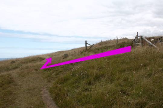 Walking direction photo: 9 for walk White Nothe, Ringstead, Dorset, Jurassic Coast.