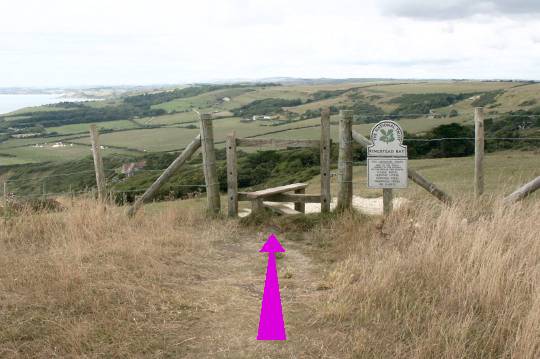 Walking direction photo: 11 for walk White Nothe, Ringstead, Dorset, Jurassic Coast.