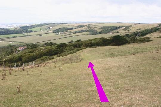 Walk direction photograph: 12 for walk White Nothe, Ringstead, Dorset, South West England.