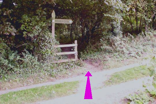 Walking direction photo: 13 for walk White Nothe, Ringstead, Dorset, Jurassic Coast.