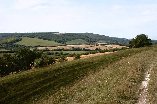 Picture, Photo, View of Stourpaine, Dorset