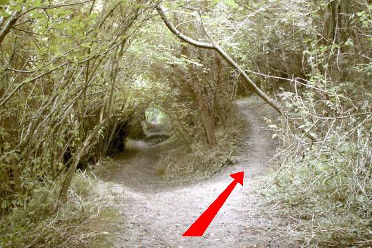 Walking direction photo: 3 for walk Hod Hill, Stourpaine, Dorset.
