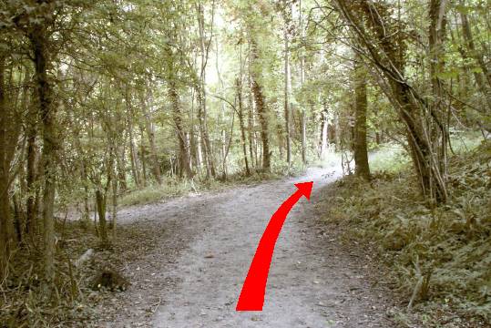 Walk direction photograph: 4 for walk Hod Hill, Stourpaine, Dorset, South West England.