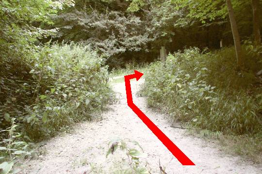 Walking direction photo: 5 for walk Hod Hill, Stourpaine, Dorset.