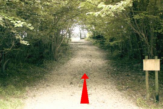 Walk direction photograph: 6 for walk Hod Hill, Stourpaine, Dorset, South West England.