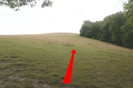 Walking direction photo: 7 for walk Hod Hill, Stourpaine, Dorset.