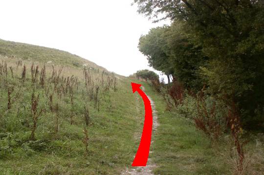 Walking direction photo: 9 for walk Hod Hill, Stourpaine, Dorset.