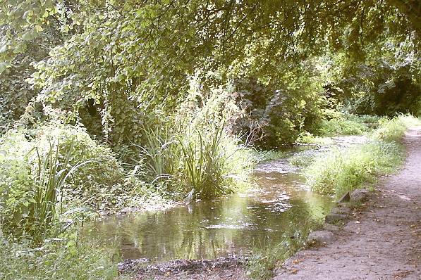Picture, Photo, View of Stourpaine, Dorset