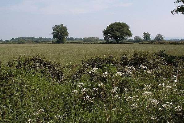 Picture, Photo, View of Sturminster Newton, Dorset