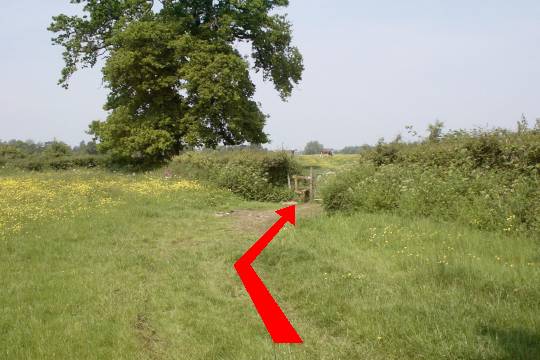 Walk direction photograph: 8 for walk Fiddleford, Sturminster Newton, Dorset, South West England.