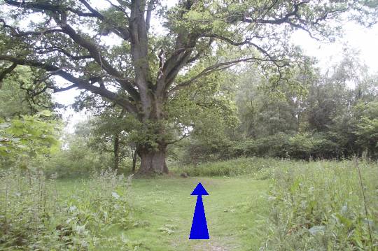 Walking direction photo: 5 for walk Broad Oak, Sturminster Newton, Dorset.